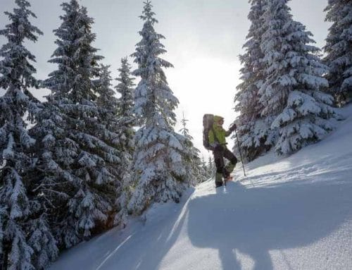 Un hiver sans remontées mais pas sans activités ! Top 11 des activités à faire dans la station de Pra Loup et aux alentours.